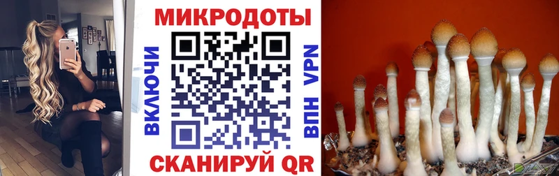Галлюциногенные грибы ЛСД  Макаров 