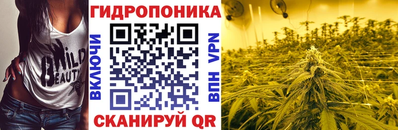 Бошки Шишки семена  мега рабочий сайт  Макаров  купить наркотик 